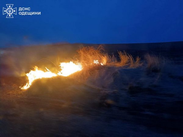 В Одеській області за останній тиждень викрито чотирьох паліїв, дії яких спровокували пожежі