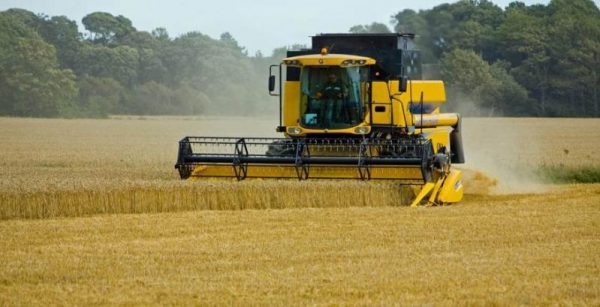 Аграрії Одещини намолотили перший мільйон тонн зерна врожаю 2024