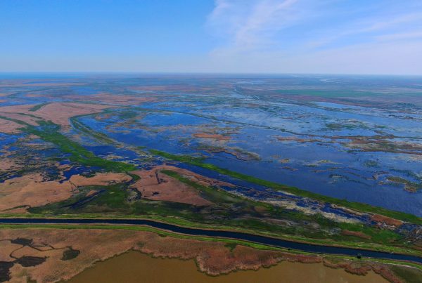 Посухи вже зараз загрожують унікальній екосистемі Дунайського регіону