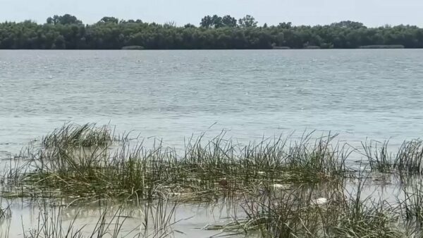 В Дунаї та місцевих озерах катастрофічно падає рівень води В Дунаї та місцевих озерах катастрофічно падає рівень води