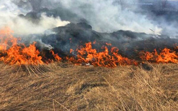 Легковик спалахнув через суху траву: в Арцизі постраждали двоє людей
