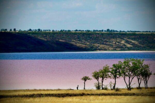 На Одещині осінні дощі допомогли подолати кризу водозабезпечення на лимані На Одещині осінні дощі допомогли подолати кризу водозабезпечення на лимані
