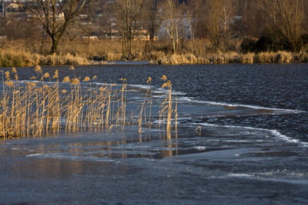 У п’яти населених пунктах Одеської області зафіксовані часткові підтоплення
