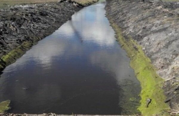 У Білгород-Дністровському районі у штучній водоймі загинув чоловік
